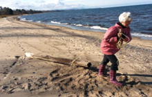 Pulling a log in sand